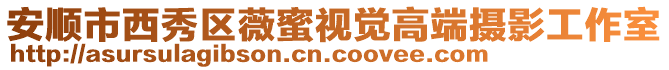 安順市西秀區薇蜜視覺高端攝影工作室