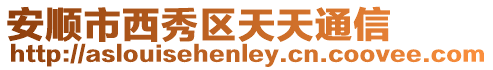 安順市西秀區天天通信