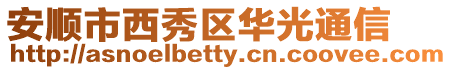 安順市西秀區華光通信