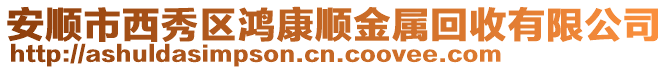 安順市西秀區(qū)鴻康順金屬回收有限公司
