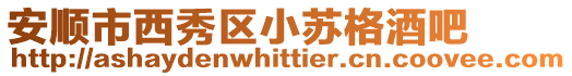 安順市西秀區小蘇格酒吧