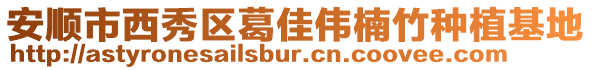 安順市西秀區葛佳偉楠竹種植基地