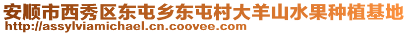 安順市西秀區東屯鄉東屯村大羊山水果種植基地
