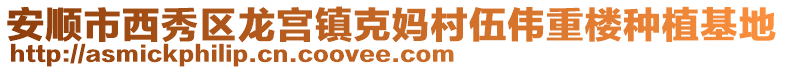 安順市西秀區(qū)龍宮鎮(zhèn)克媽村伍偉重樓種植基地