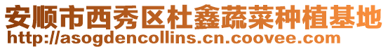 安順市西秀區杜鑫蔬菜種植基地