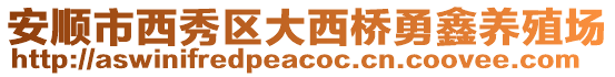 安順市西秀區大西橋勇鑫養殖場