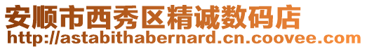 安順市西秀區精誠數碼店