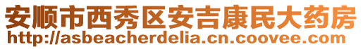 安順市西秀區(qū)安吉康民大藥房