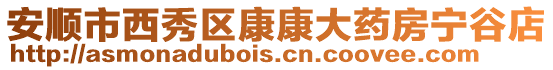 安順市西秀區康康大藥房寧谷店