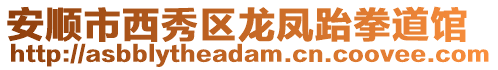 安順市西秀區(qū)龍鳳跆拳道館