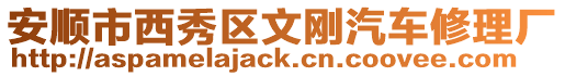 安順市西秀區(qū)文剛汽車修理廠