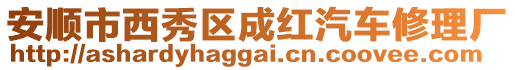 安順市西秀區成紅汽車修理廠