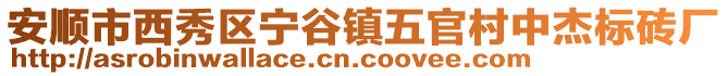 安順市西秀區寧谷鎮五官村中杰標磚廠