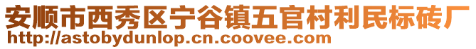 安順市西秀區寧谷鎮五官村利民標磚廠