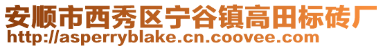 安順市西秀區寧谷鎮高田標磚廠