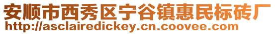 安順市西秀區(qū)寧谷鎮(zhèn)惠民標(biāo)磚廠
