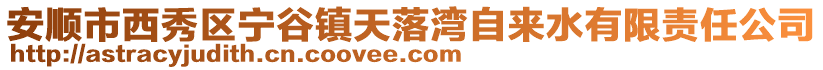安順市西秀區(qū)寧谷鎮(zhèn)天落灣自來水有限責(zé)任公司