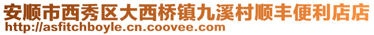 安順市西秀區大西橋鎮九溪村順豐便利店店