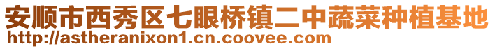安順市西秀區七眼橋鎮二中蔬菜種植基地