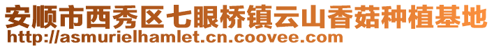 安順市西秀區七眼橋鎮云山香菇種植基地