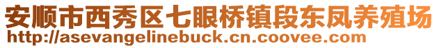 安順市西秀區七眼橋鎮段東鳳養殖場
