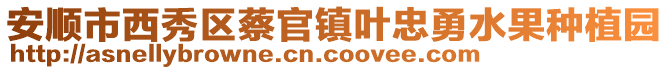 安順市西秀區(qū)蔡官鎮(zhèn)葉忠勇水果種植園