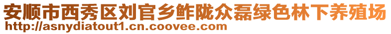 安順市西秀區(qū)劉官鄉(xiāng)鲊隴眾磊綠色林下養(yǎng)殖場