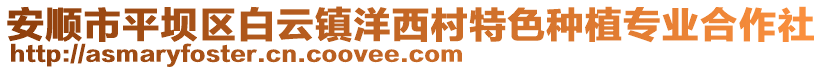 安順市平壩區白云鎮洋西村特色種植專業合作社