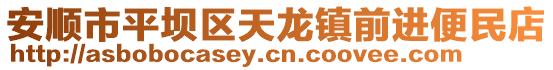 安順市平壩區天龍鎮前進便民店