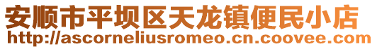 安順市平壩區(qū)天龍鎮(zhèn)便民小店