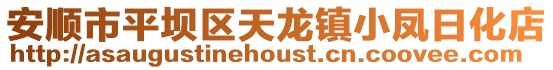 安順市平壩區天龍鎮小鳳日化店