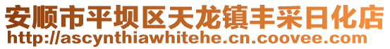 安順市平壩區天龍鎮豐采日化店