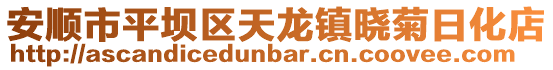 安順市平壩區天龍鎮曉菊日化店