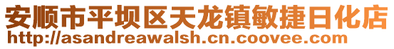 安順市平壩區天龍鎮敏捷日化店