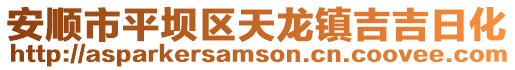 安順市平壩區(qū)天龍鎮(zhèn)吉吉日化