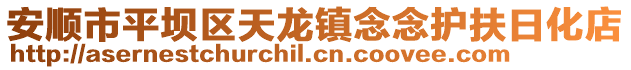 安順市平壩區天龍鎮念念護扶日化店