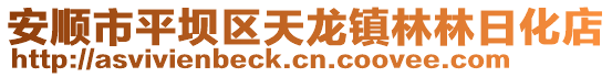 安順市平壩區天龍鎮林林日化店
