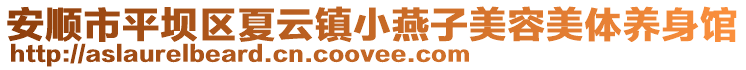 安順市平壩區(qū)夏云鎮(zhèn)小燕子美容美體養(yǎng)身館