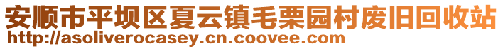 安順市平壩區夏云鎮毛栗園村廢舊回收站