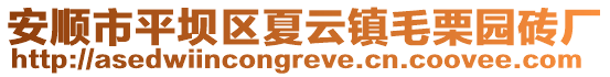 安順市平壩區夏云鎮毛栗園磚廠