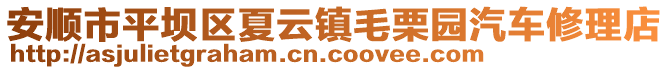 安順市平壩區夏云鎮毛栗園汽車修理店