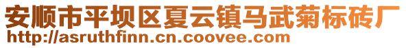 安順市平壩區夏云鎮馬武菊標磚廠