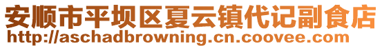 安順市平壩區夏云鎮代記副食店