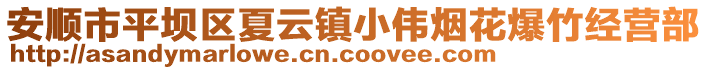 安順市平壩區夏云鎮小偉煙花爆竹經營部