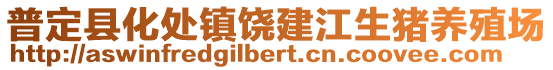 普定縣化處鎮(zhèn)饒建江生豬養(yǎng)殖場(chǎng)