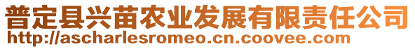 普定縣興苗農(nóng)業(yè)發(fā)展有限責(zé)任公司