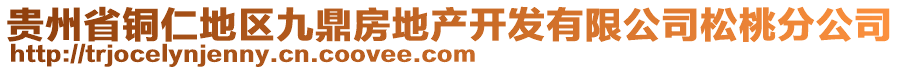 貴州省銅仁地區(qū)九鼎房地產(chǎn)開發(fā)有限公司松桃分公司