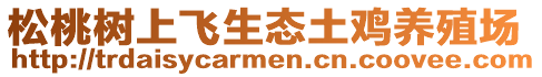 松桃樹上飛生態(tài)土雞養(yǎng)殖場(chǎng)