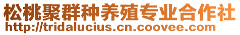 松桃聚群種養(yǎng)殖專業(yè)合作社