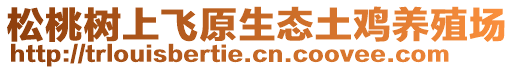 松桃樹上飛原生態(tài)土雞養(yǎng)殖場